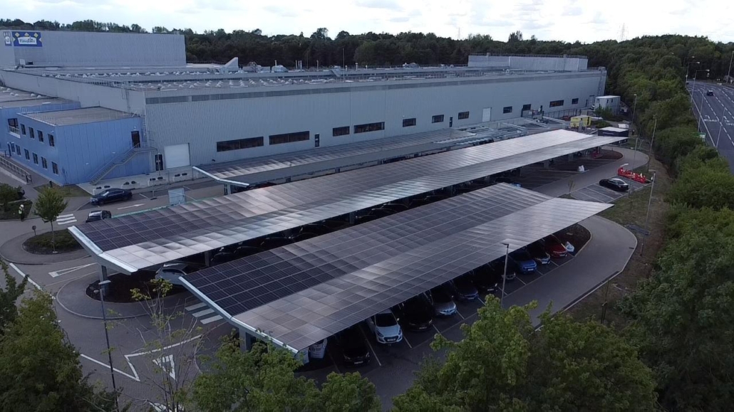 WhatsApp Image 2026-01-06 at 11.28.34